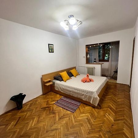 Miha Modern And Central Apartament Malul Muresului Arad Eksteriør bilde