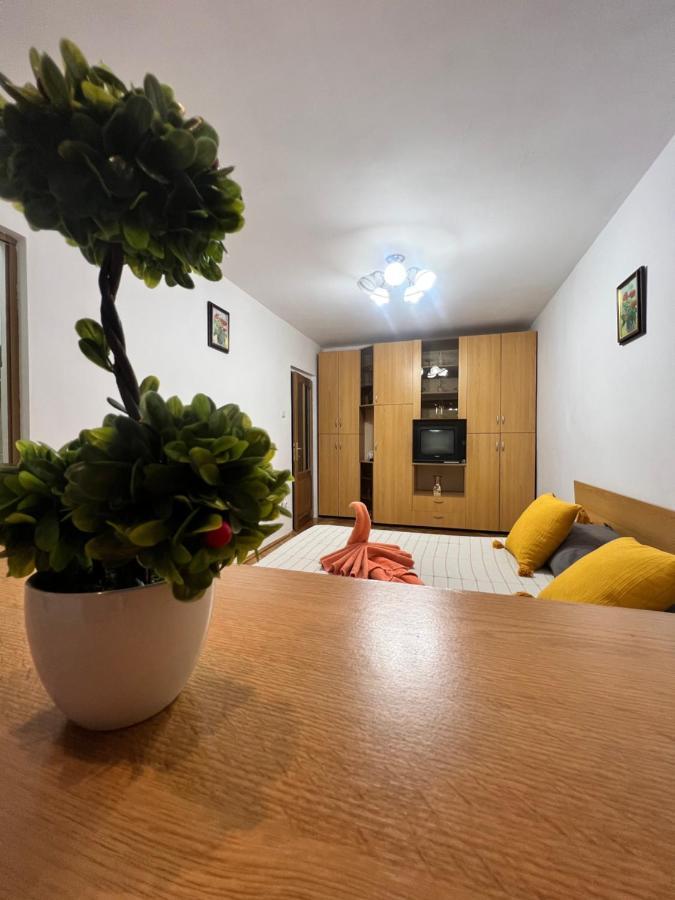 Miha Modern And Central Apartament Malul Muresului Arad Eksteriør bilde