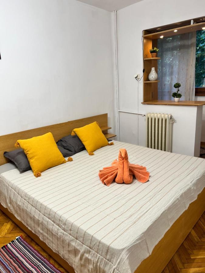 Miha Modern And Central Apartament Malul Muresului Arad Eksteriør bilde