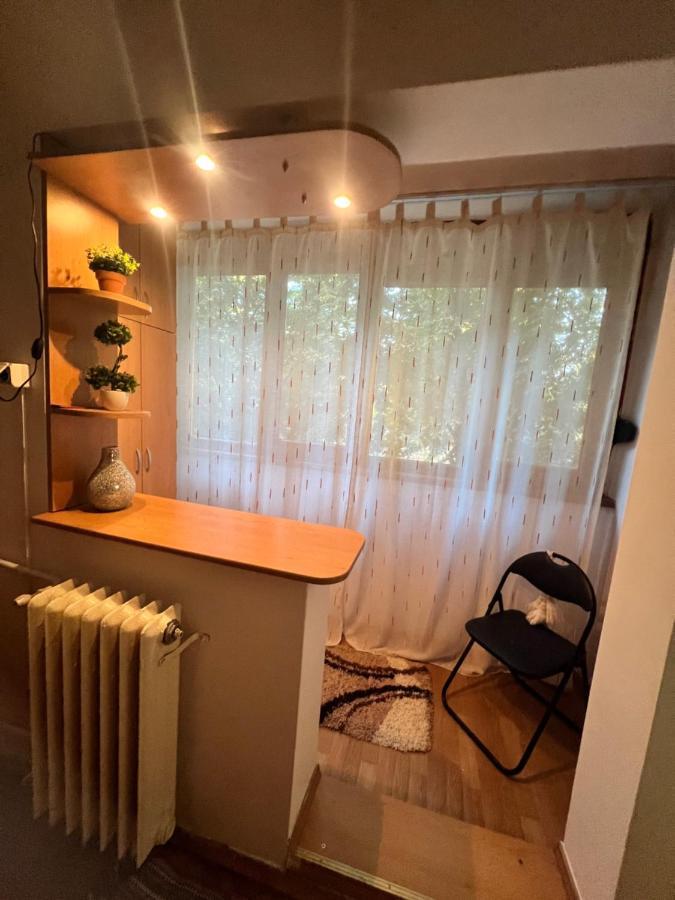 Miha Modern And Central Apartament Malul Muresului Arad Eksteriør bilde