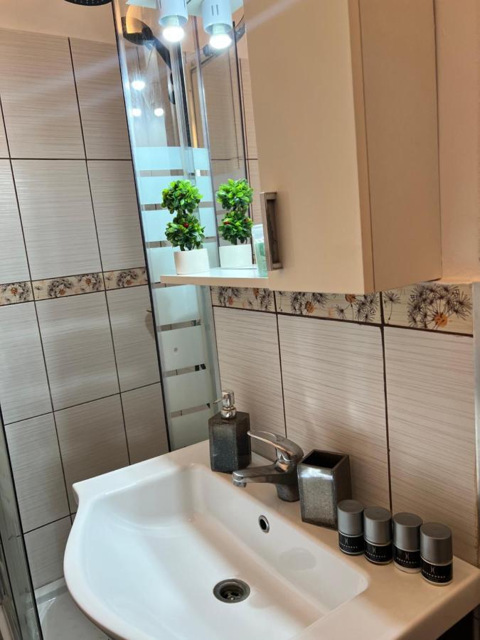 Miha Modern And Central Apartament Malul Muresului Arad Eksteriør bilde