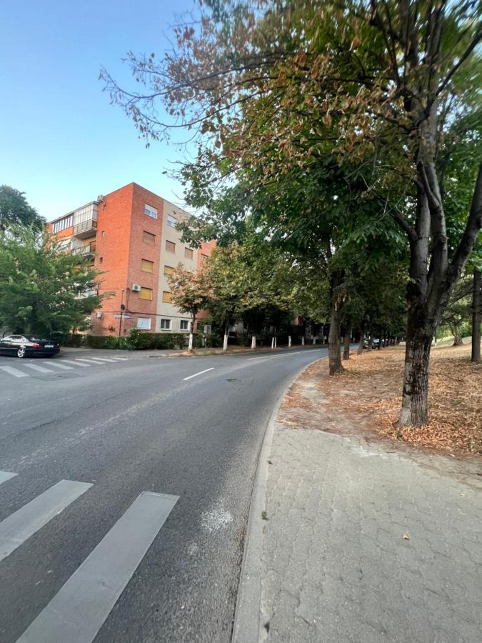 Miha Modern And Central Apartament Malul Muresului Arad Eksteriør bilde
