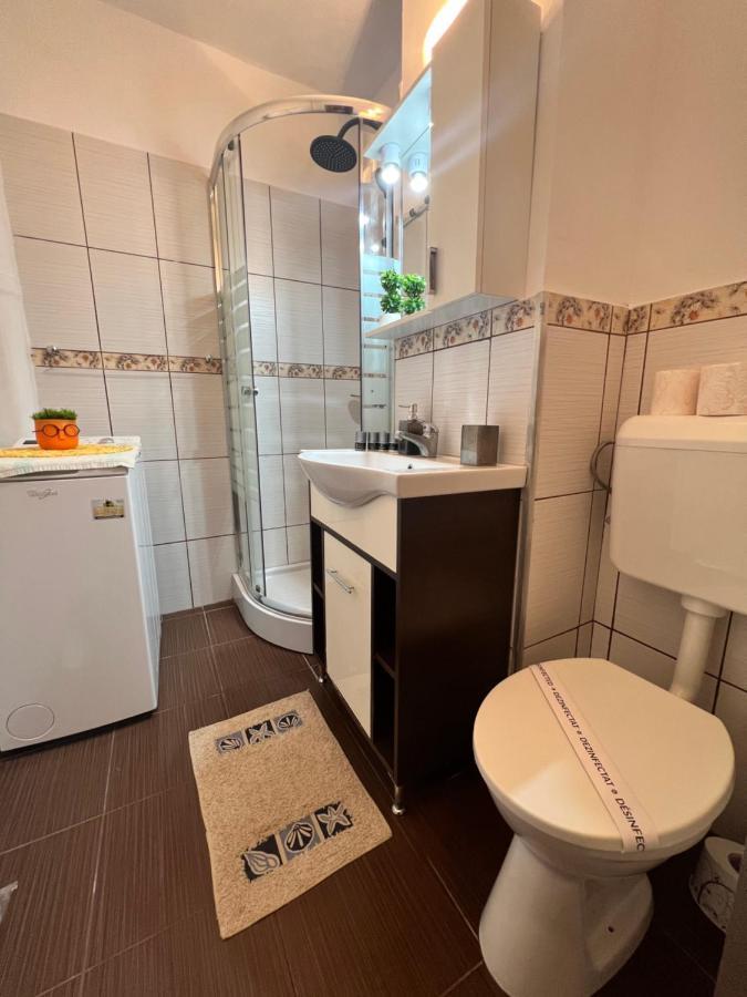 Miha Modern And Central Apartament Malul Muresului Arad Eksteriør bilde
